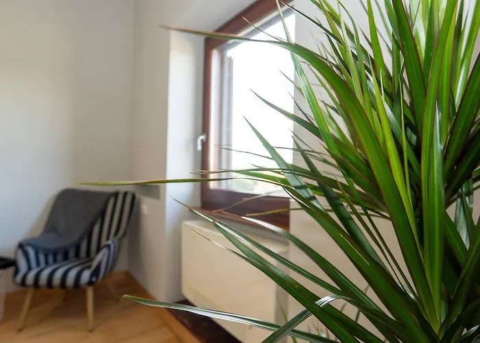 Divine View Apartment
